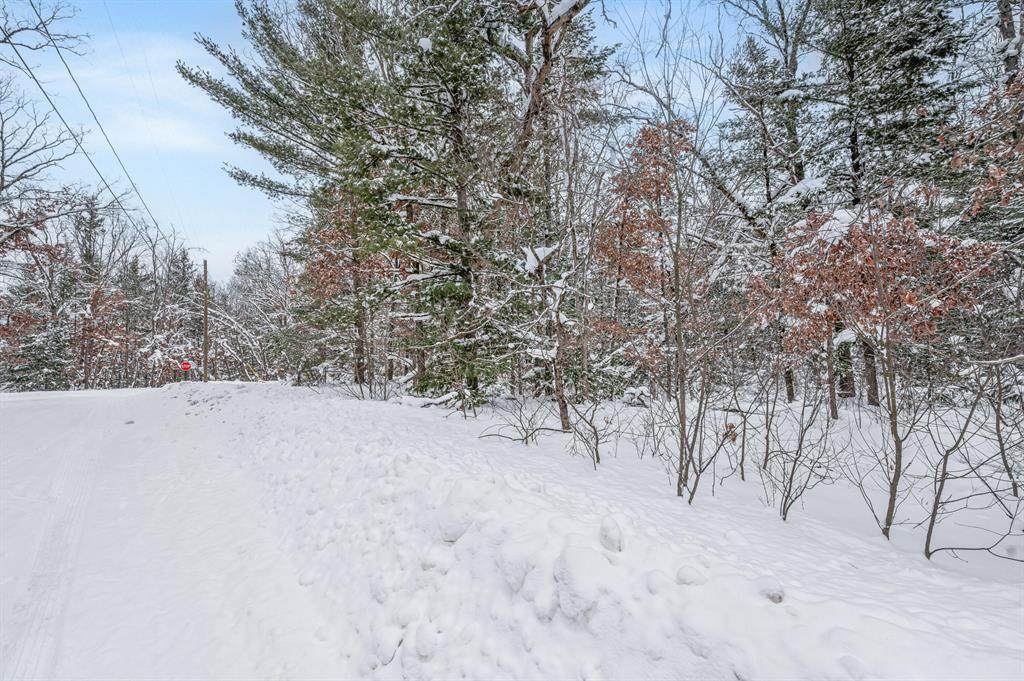 https://bt-photos.global.ssl.fastly.net/michigan/orig_boomver_2_650784349-2.jpg