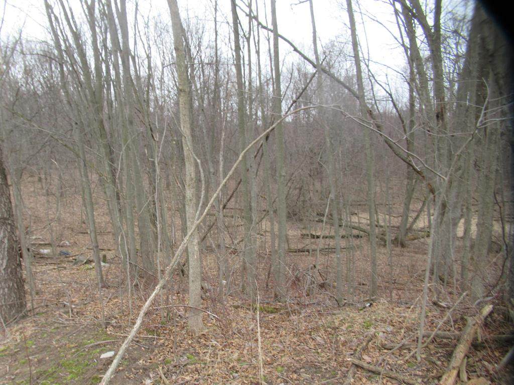  Williamsville Street - Photo 1