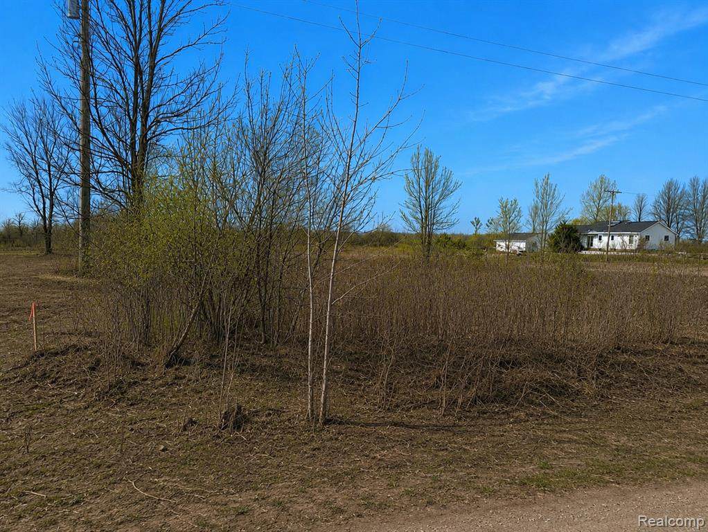 2969 Reeves Road - Photo 1