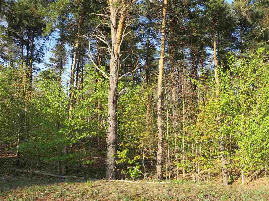 10.15 Spruce Hollow Trace - Photo 1