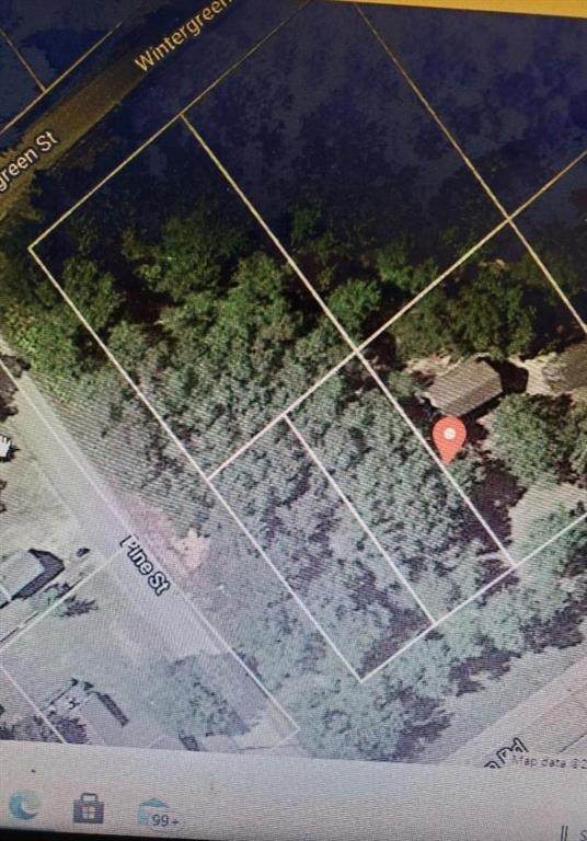 00 Wintergreen Street - Photo 1
