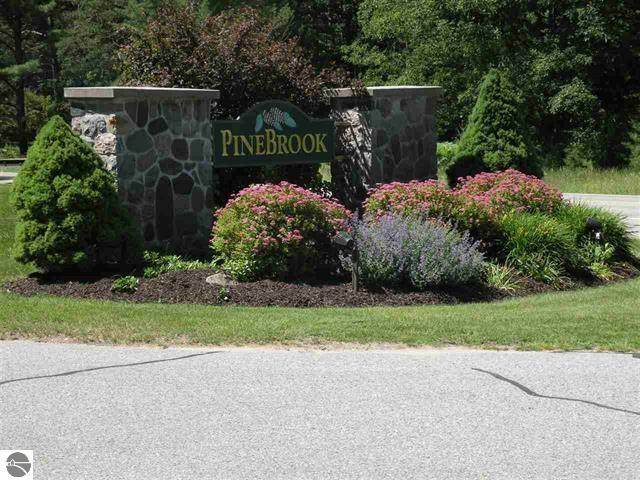 6865 Pinebrook - Photo 1