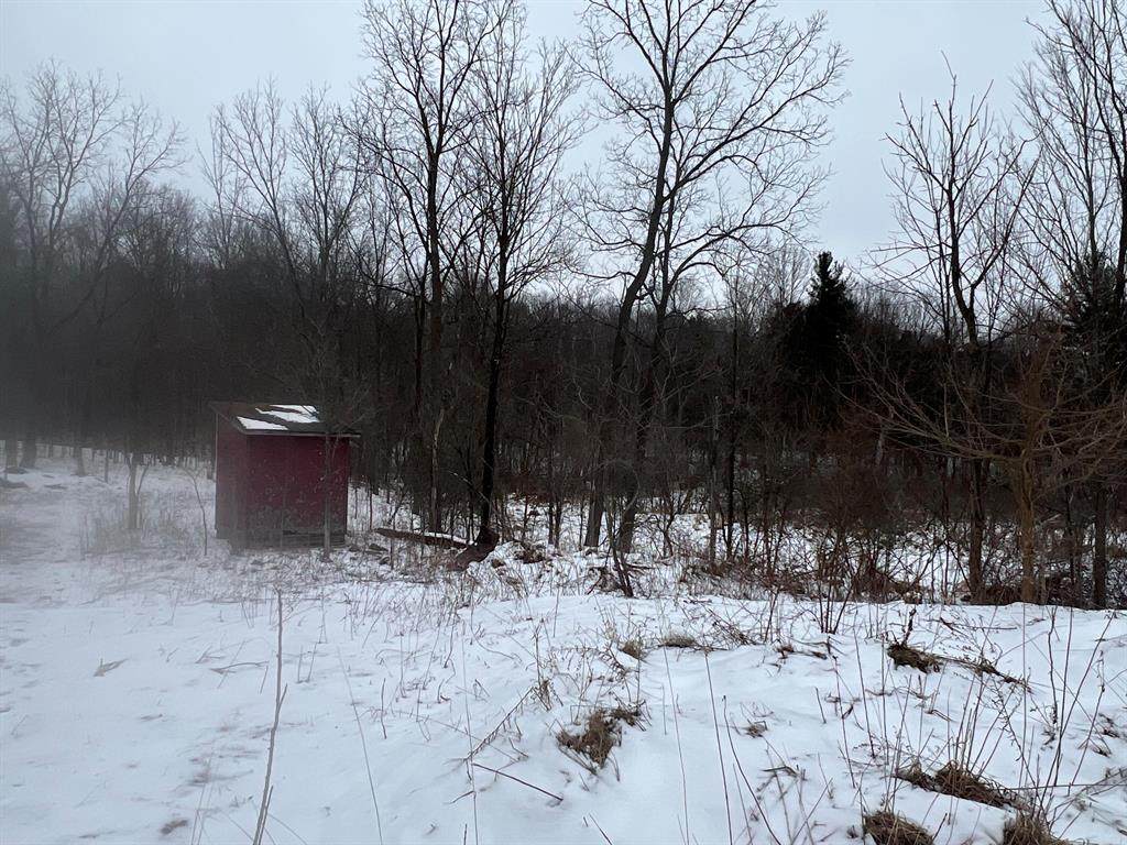 https://bt-photos.global.ssl.fastly.net/michigan/orig_boomver_1_652787802-2.jpg
