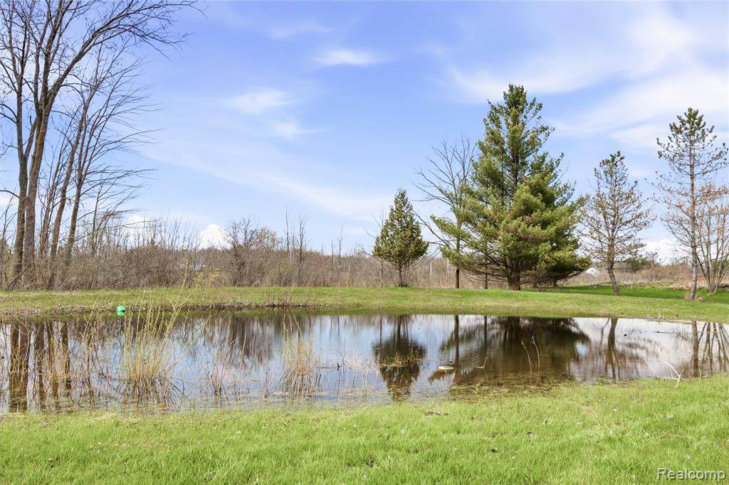 https://bt-photos.global.ssl.fastly.net/michigan/orig_boomver_2_653172235-2.jpg