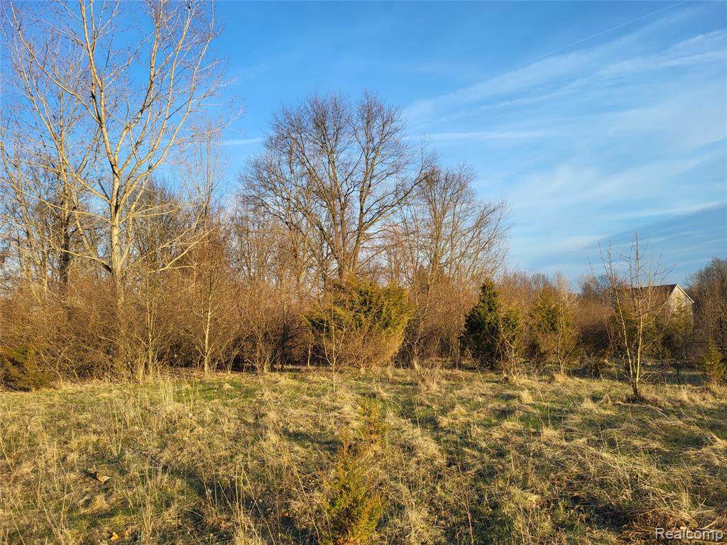 TBD Parcel B Olivia Drive - Photo 1