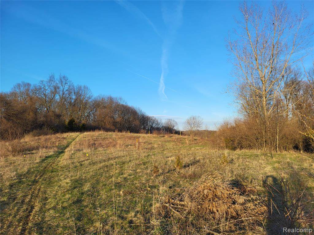 TBD Parcel C Olivia Drive - Photo 1