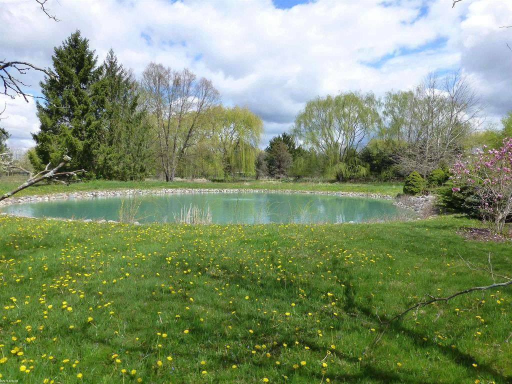 https://bt-photos.global.ssl.fastly.net/michigan/orig_boomver_2_654250585-2.jpg