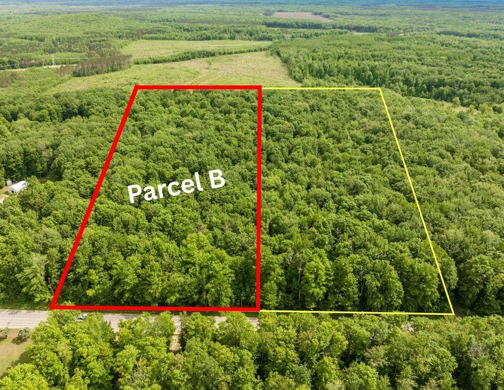Parcel B Mancelona Road - Photo 1