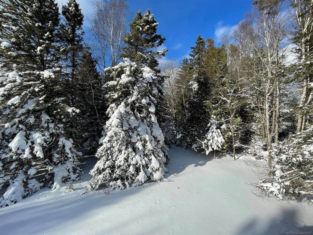 https://bt-photos.global.ssl.fastly.net/michigan/orig_boomver_1_663998908-2.jpg