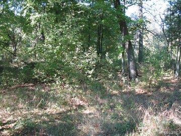 9730 Lost Channel Dr - Photo 1