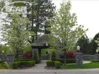 8001 Bridle Path Court - Photo 1