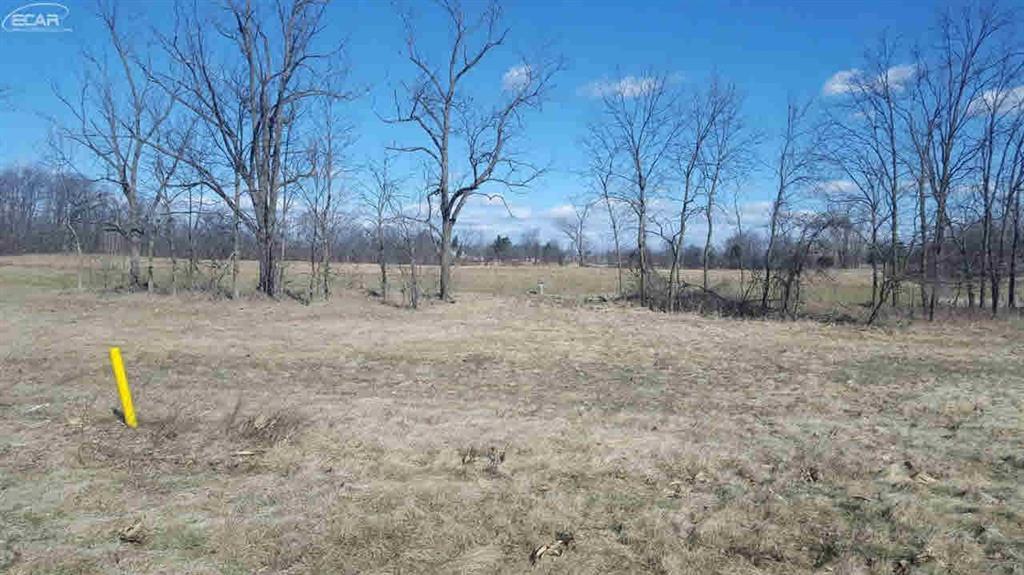 4336 Tupper Lake Way - Photo 1