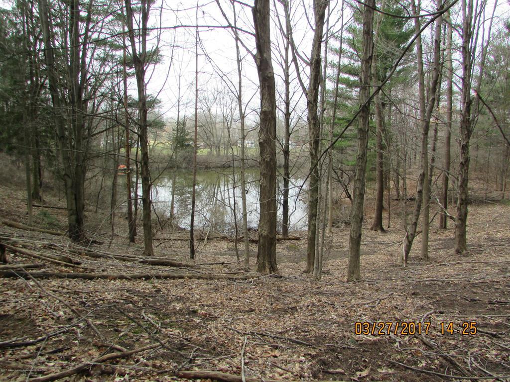 0 Old Lansing Road - Photo 1