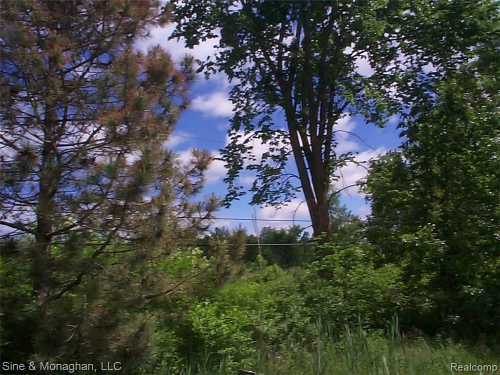 0 Puttygut Road - Photo 1