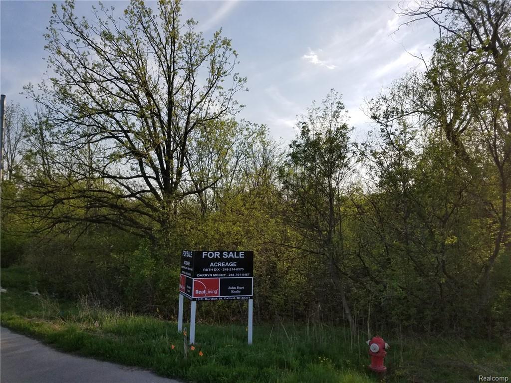 0000 Lapeer Road - Photo 1