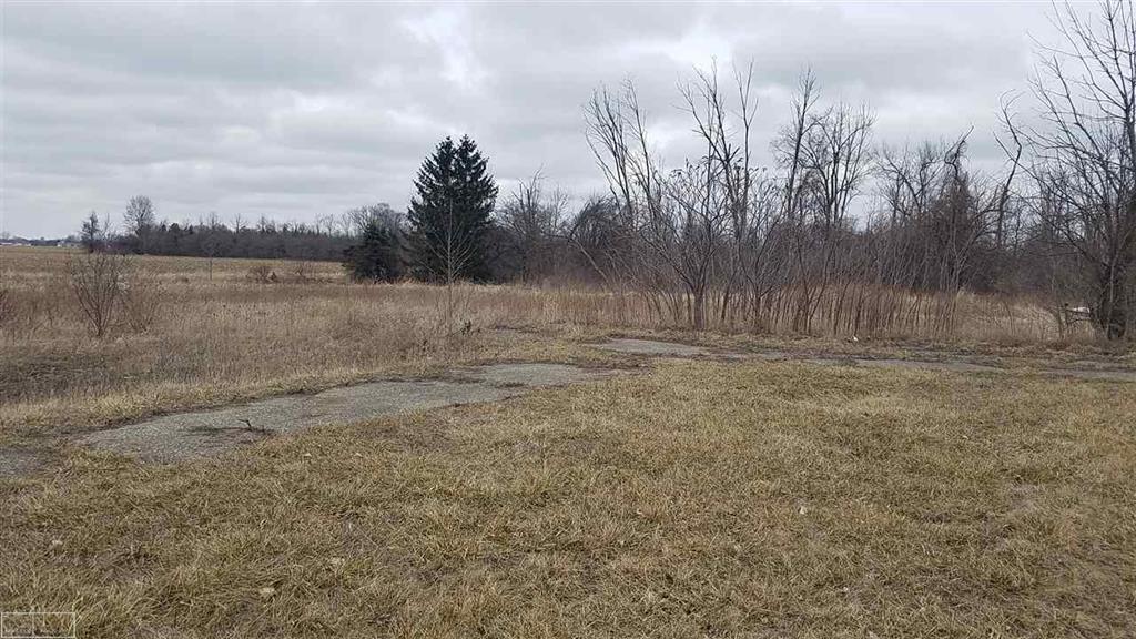 4491 Van Dyke - Photo 1