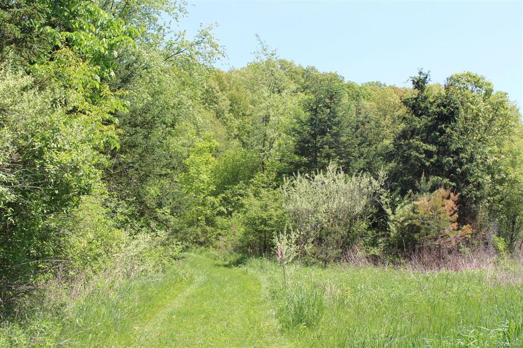 7737 Brass Creek Court - Photo 1