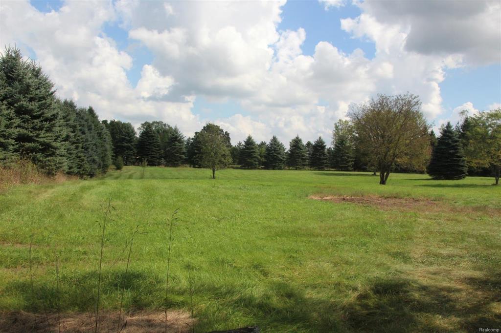 9896 Dixboro Road - Photo 1
