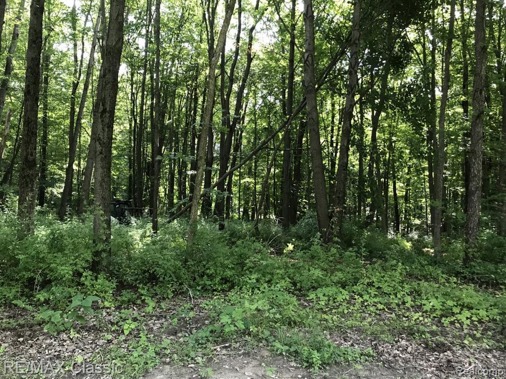 1 White Lake Rd - Photo 1