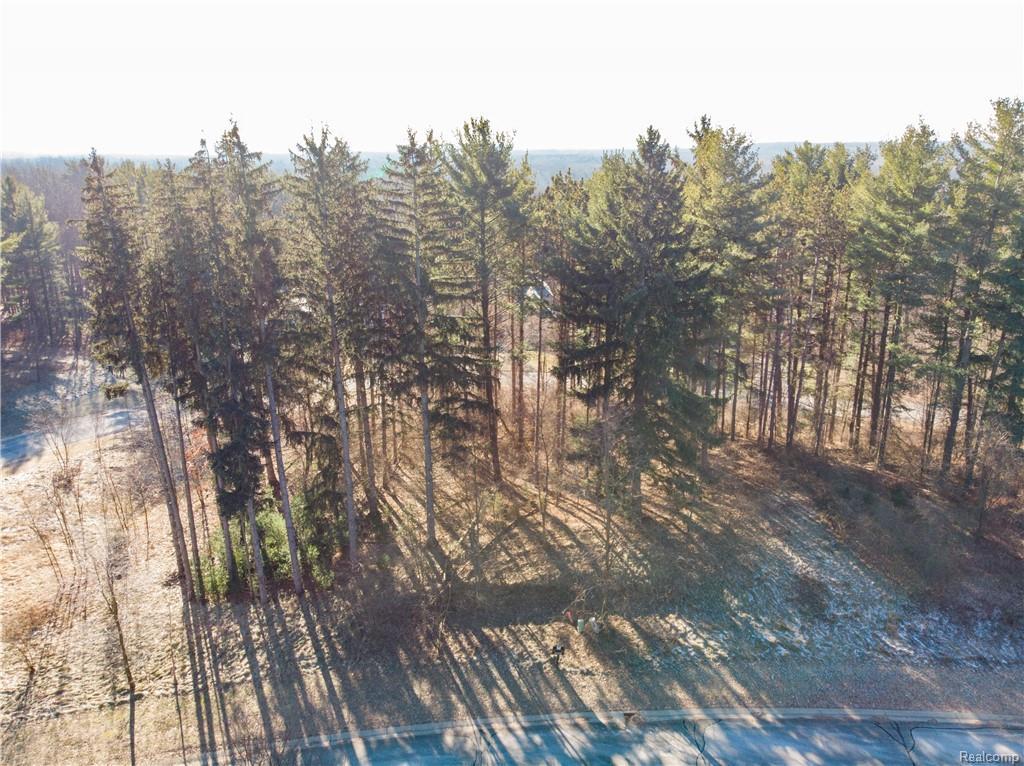 LOT 26 Rexford Court - Photo 1
