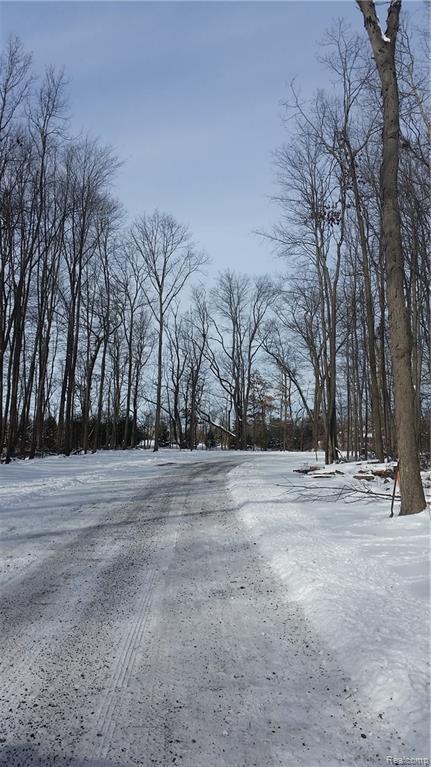 Parcel C Hidden Creek Court - Photo 1