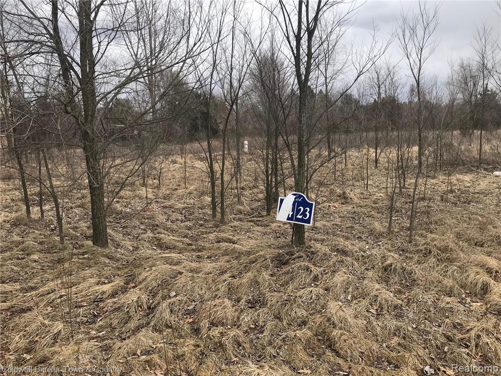 LOT 23 Oak Forest Drive - Photo 1