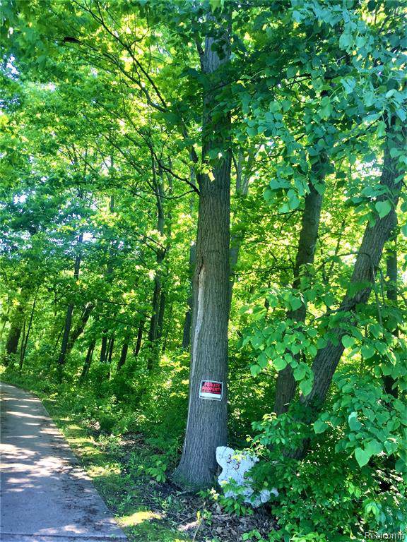 00000 Hazelton Ave - Photo 1