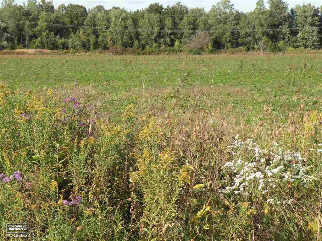 0 29 MILE ROAD - Photo 1