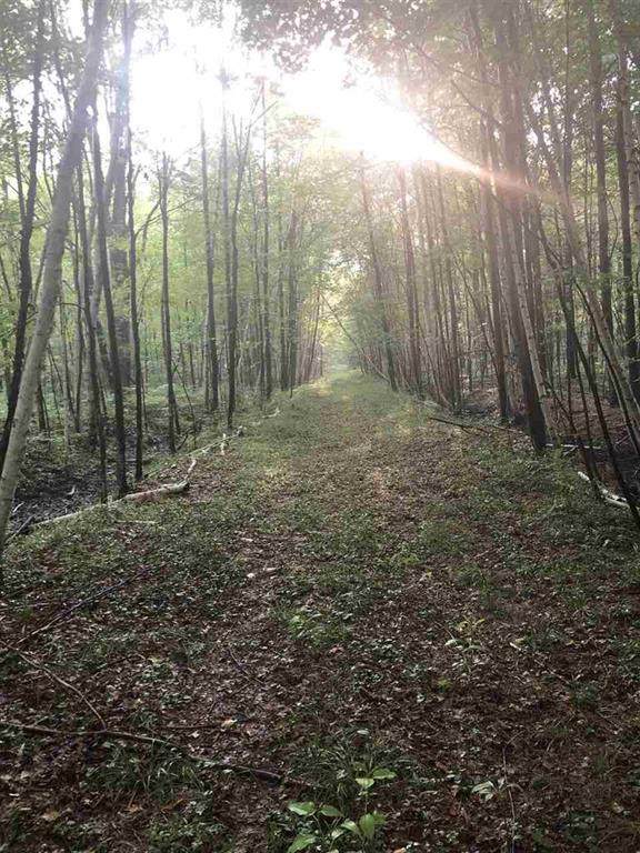 000 Buffalo Trail - Photo 1