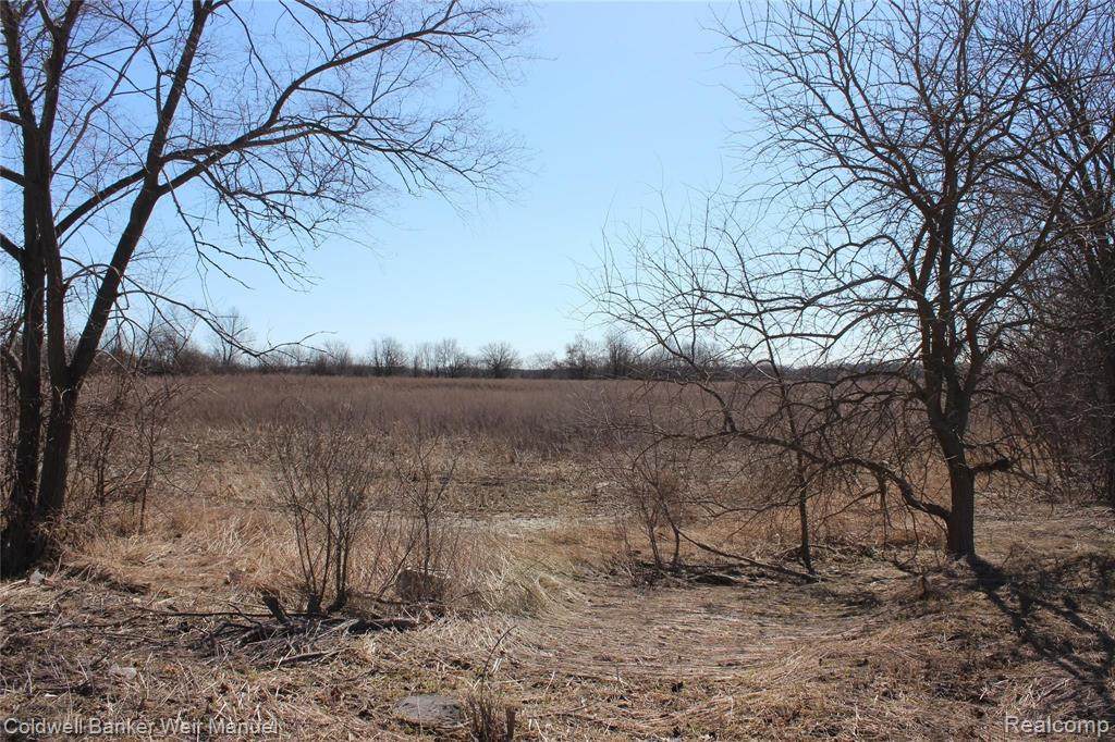 9155 6 MILE RD - Photo 1