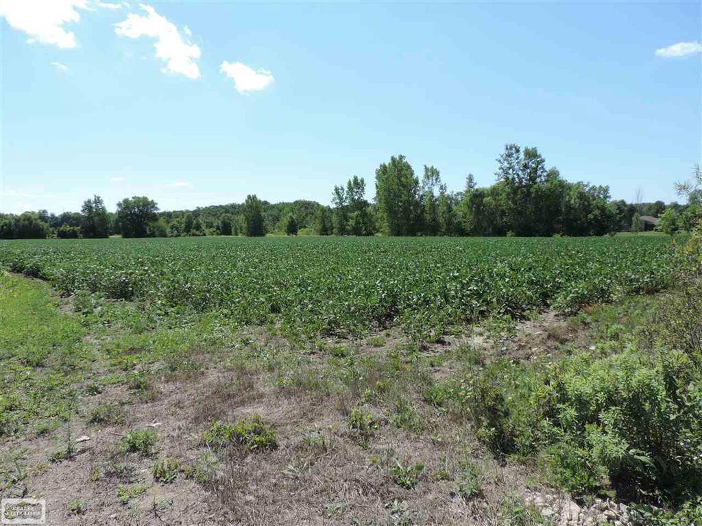15450 Bordman Road - Photo 1