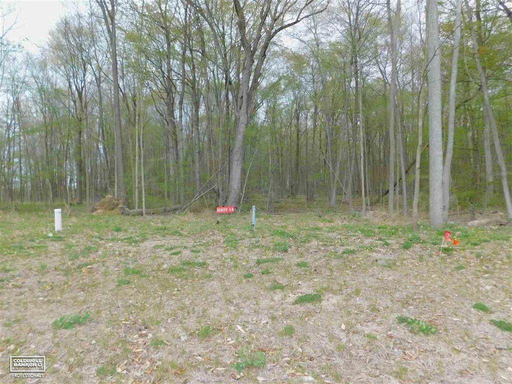67853 Ashley Avenue - Photo 1