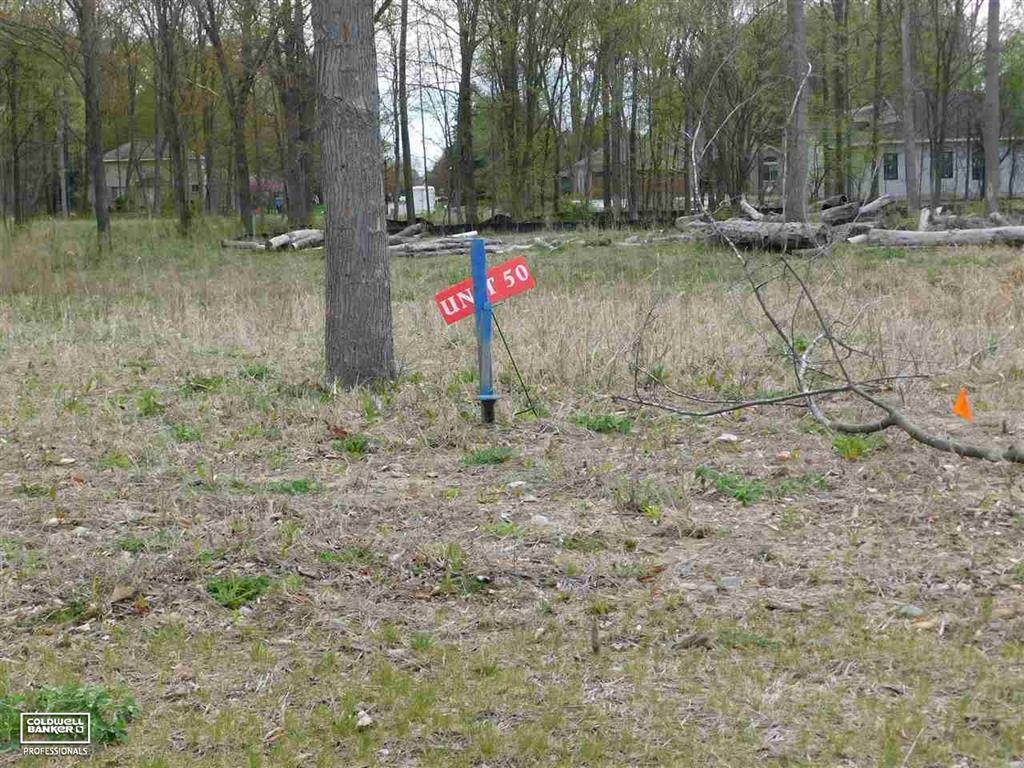 67708 Ashley Avenue - Photo 1