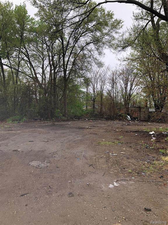 18049 Mound - Photo 1