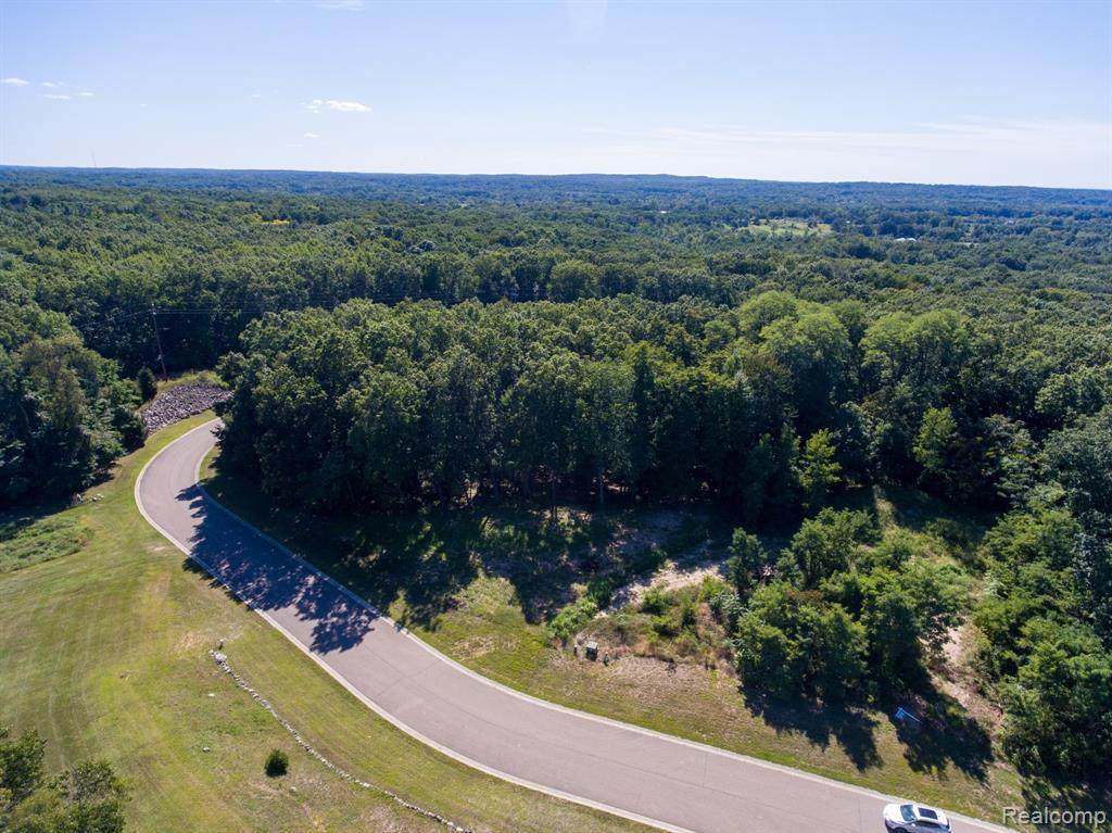 16233 Catalpa Ridge Drive - Photo 1