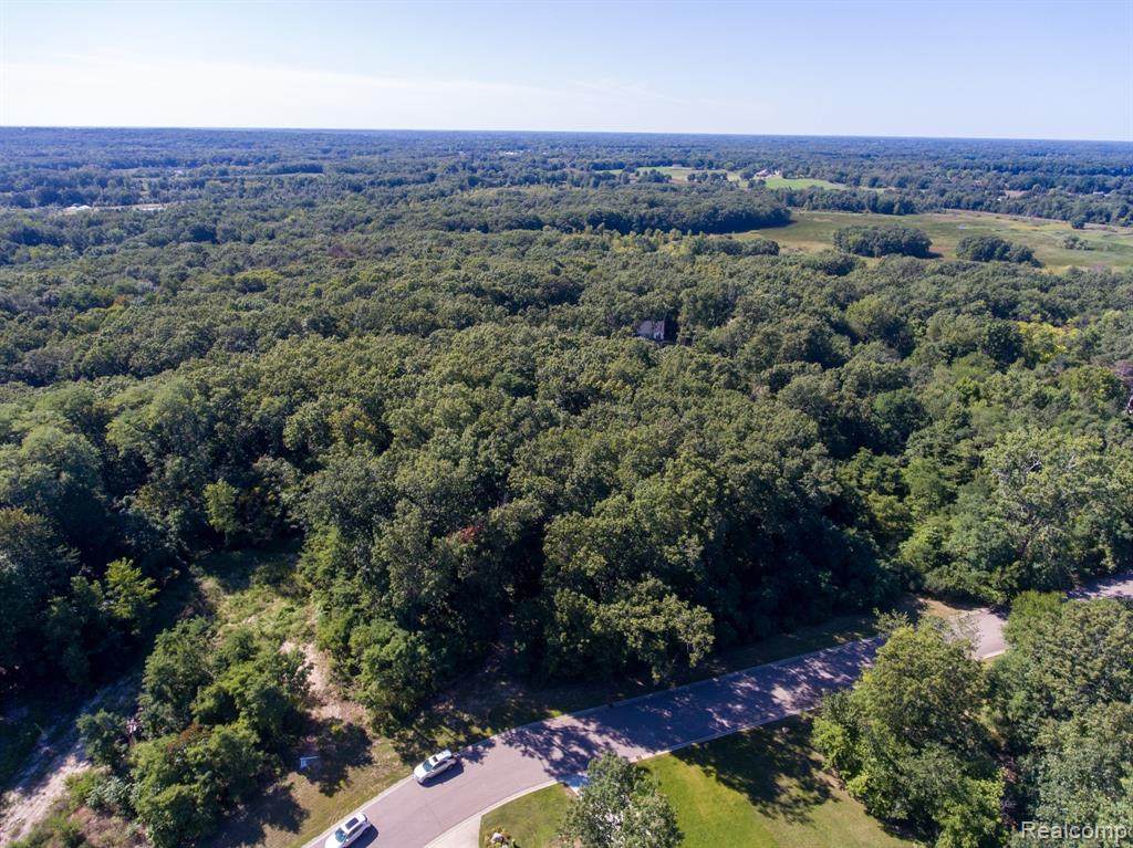16142 Catalpa Ridge Drive - Photo 1