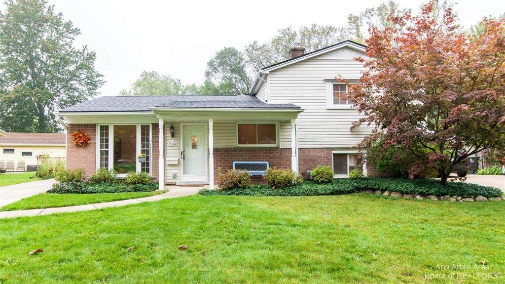 33144 Lynx Street - Photo 1