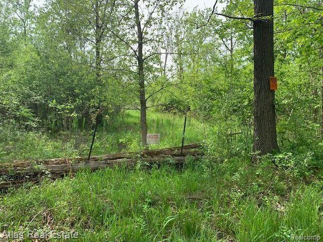 9162 Irish Road - Photo 1