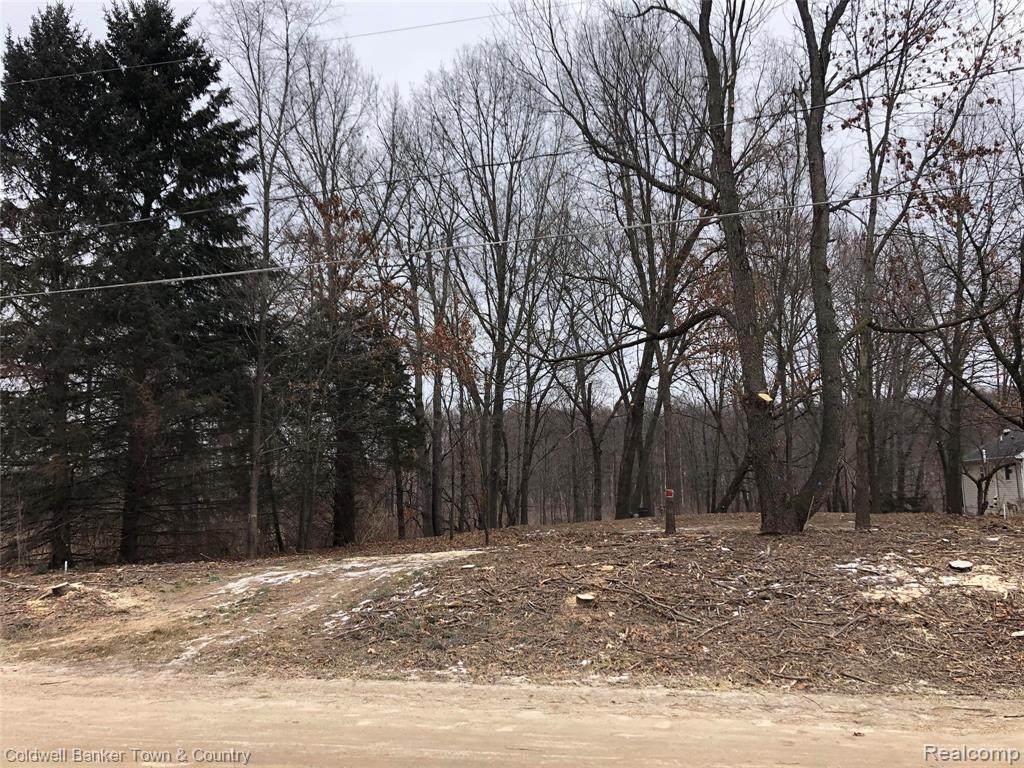 0000 San Luray - Photo 1