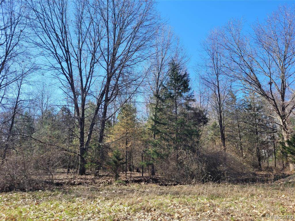 0 Unadilla Street - Photo 1
