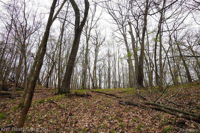 0 Indian Camp Trail - Photo 1