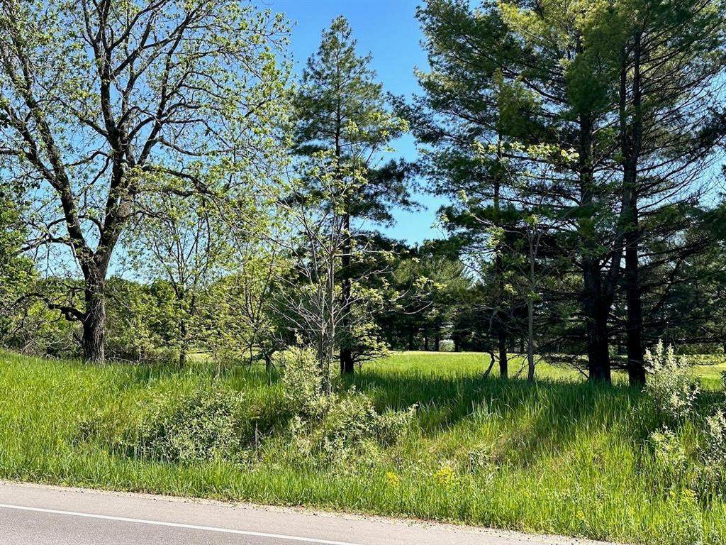 Lot 7 Schoolcraft Road - Photo 1