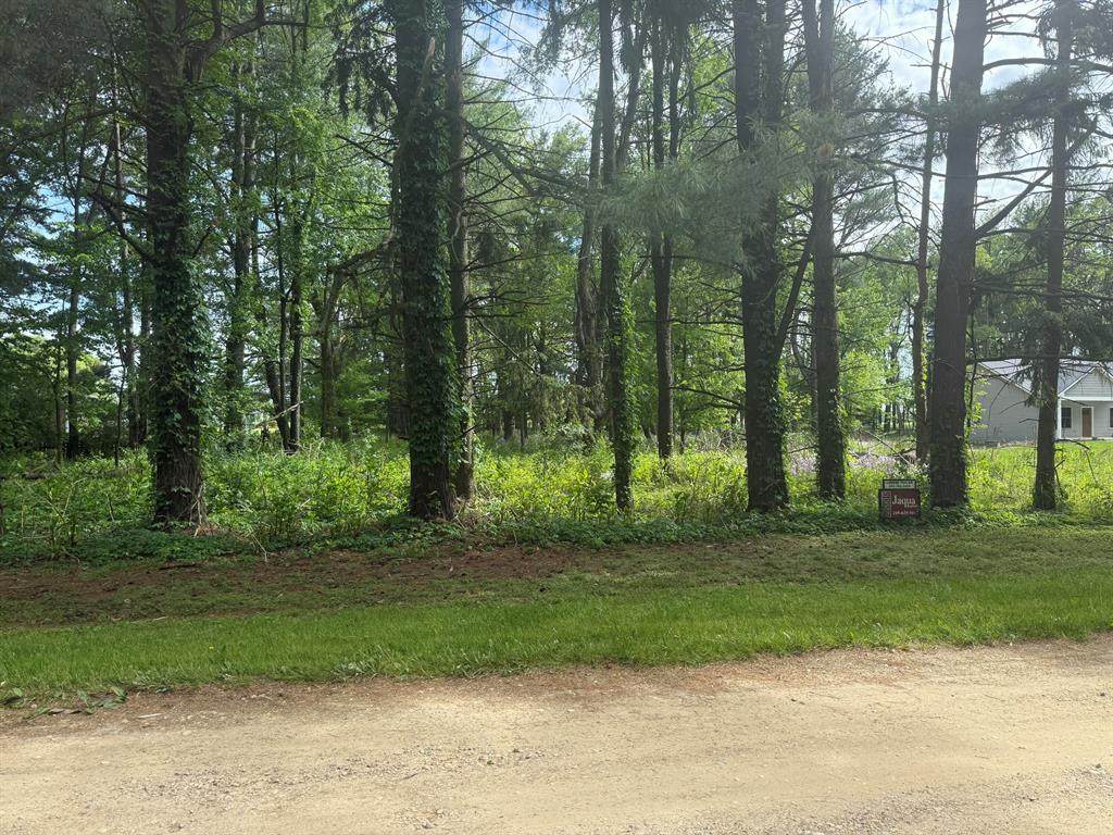 V/L Lot D Rawson Lane - Photo 1