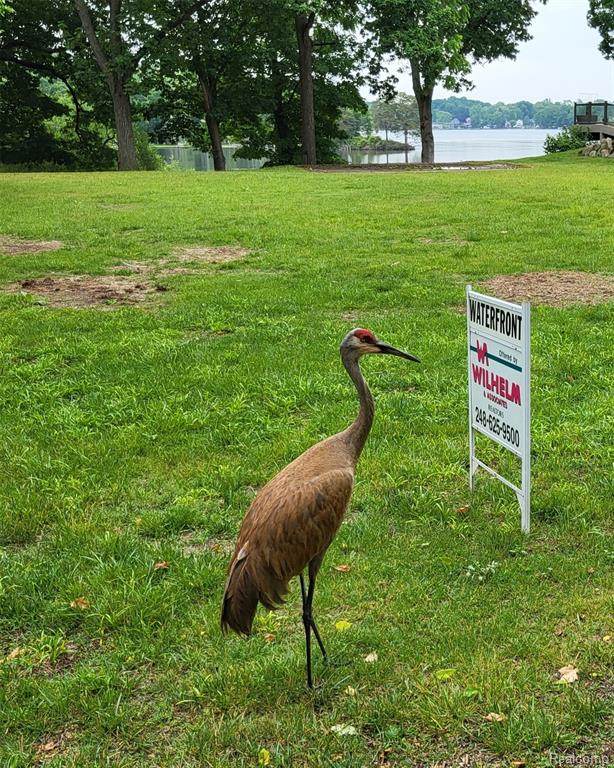 00 Blain Island - Photo 1
