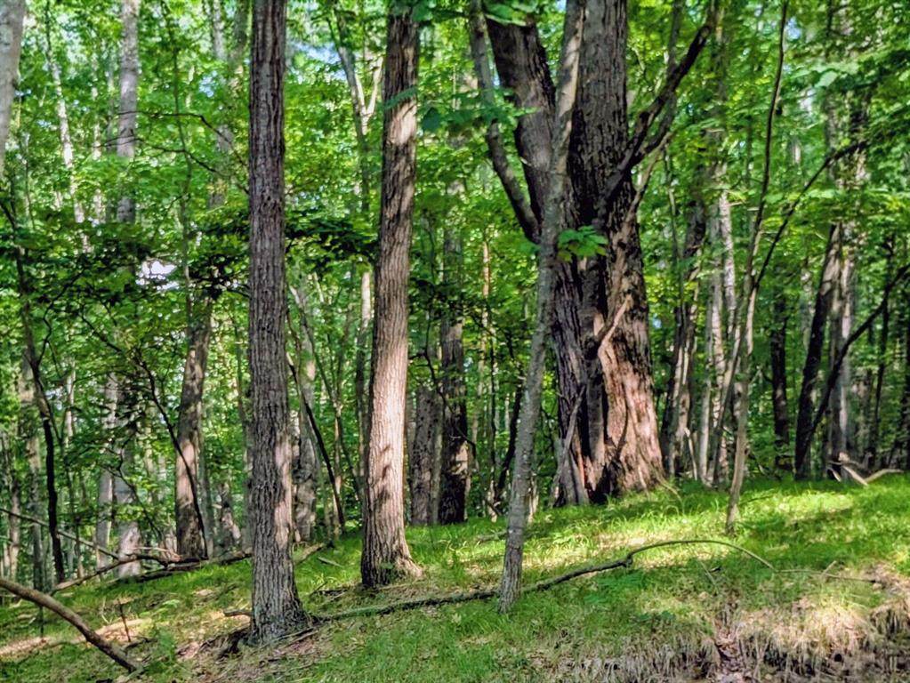 11717 Broken Arrow - Photo 1