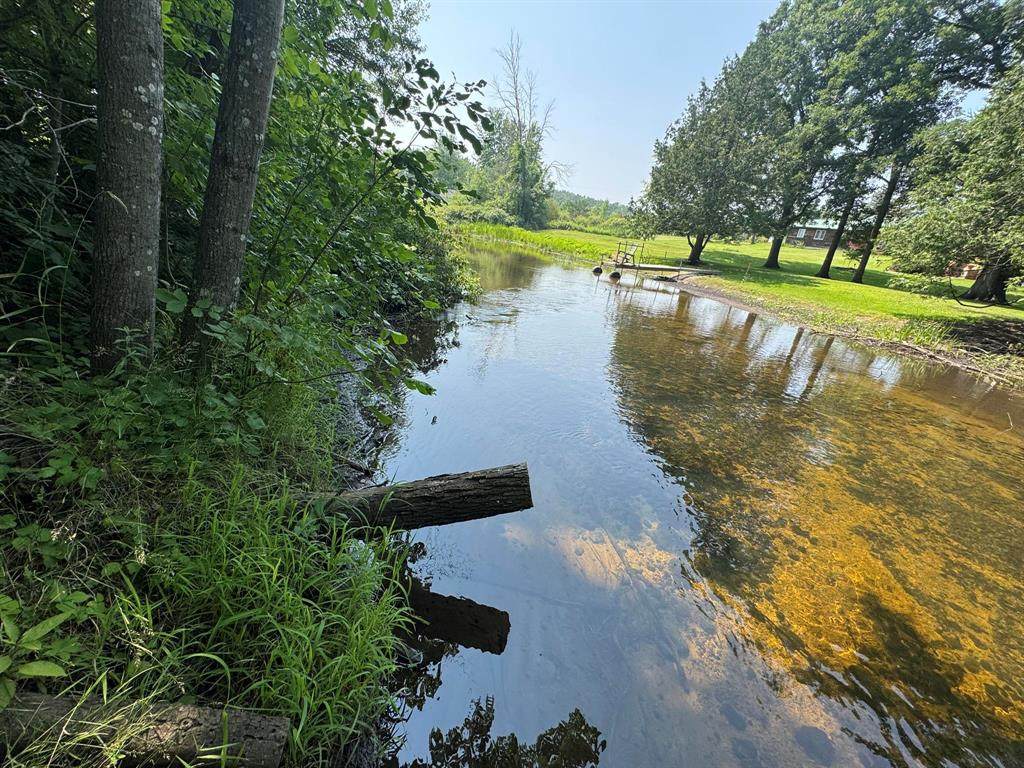 VL Elm Street - Photo 1