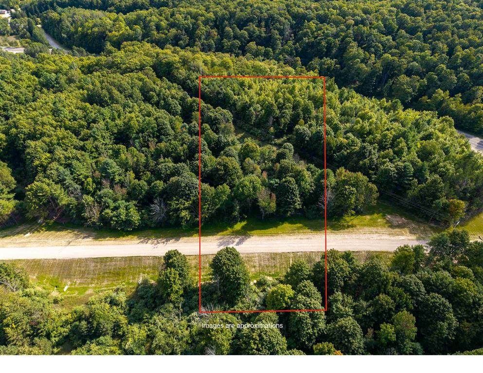 Lot #2 Bellinger Road - Photo 1