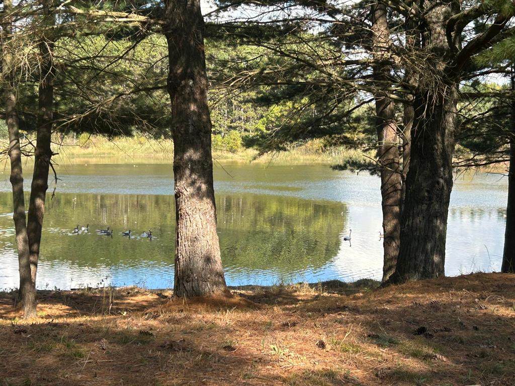 6878 Bantry Bay - Photo 1