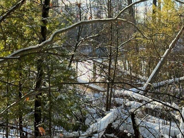 https://bt-photos.global.ssl.fastly.net/michigan/orig_boomver_2_649366351-2.jpg