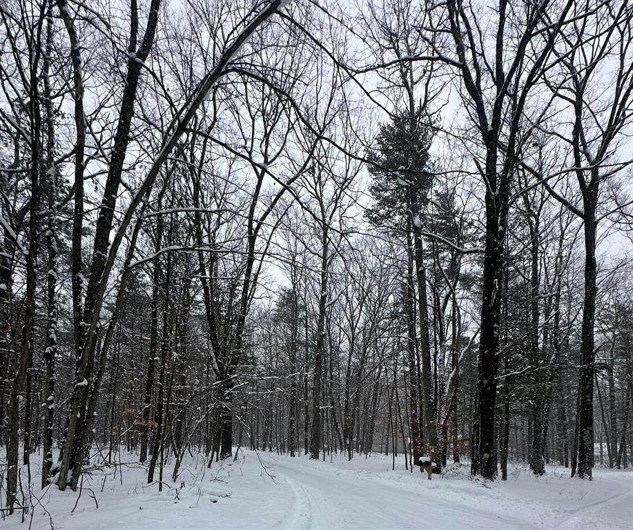 https://bt-photos.global.ssl.fastly.net/michigan/orig_boomver_3_649621727-2.jpg